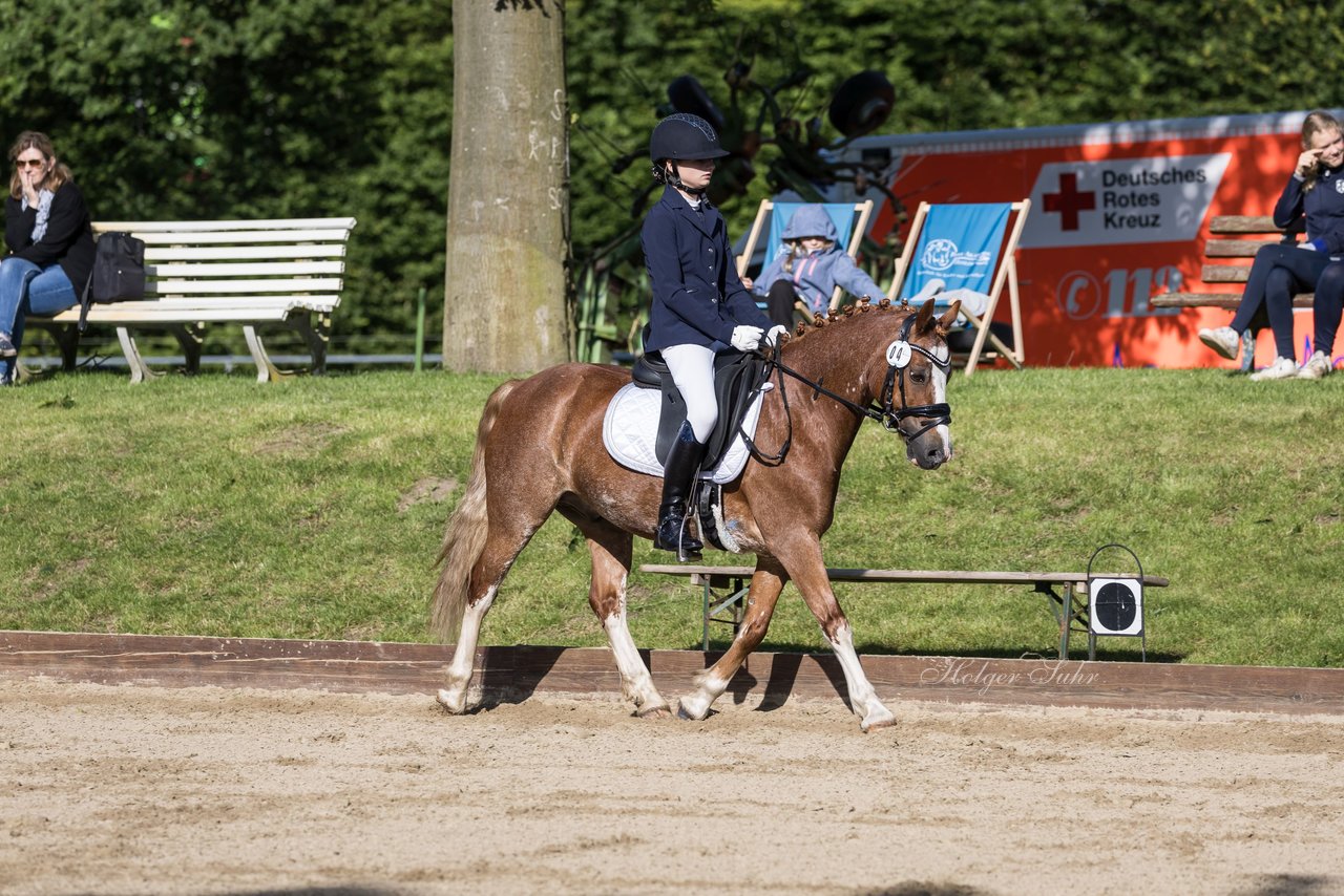 Bild 286 - Pony Akademie Turnier